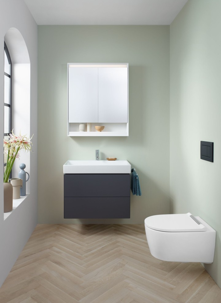 Small bathroom with wall-hung toilet, mirror cabinet, and washbasin cabinet