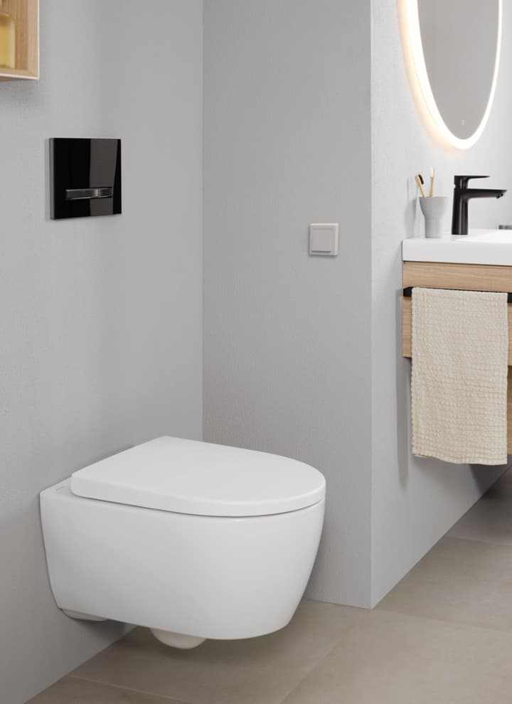 Geberit flush lifters with remote flush buttons Geberit flush lifters with remote flush buttons